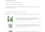 create image prompt template to make stunning illustrations